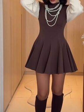 Zara Brown Turtleneck Dress